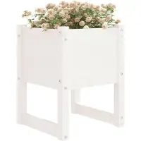 vidaXL Jardinière Blanc 40x40x52,5 cm Bois massif de pin