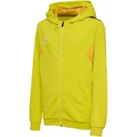 Hummel Veste de survêtement 'AUTHENTIC PL' jaune / noir