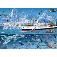Bluebird Puzzle Puzzle François Ruyer - Arctic - Bluebird Boat - 1500 pièces