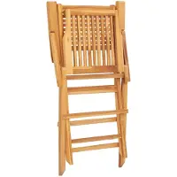 vidaXL Chaises de jardin 8 pcs. Pliable 55x62x90 cm bois massif teck