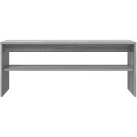 vidaXL : Meubles TV, 100 x 30 x 40 cm, en panneaux de particules imitation bois Sonoma, couleur grise