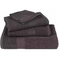 vidaXL Serviettes de bain 4 pcs anthracite 100x150 cm 100% coton