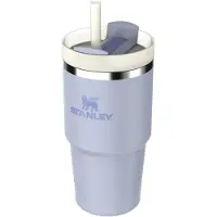 Stanley Quencher H2.O FlowState Tumbler gobelet en acier inoxydable avec paille petit format Dew Drop 1 pcs