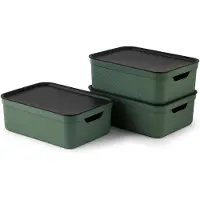 Rotho Boîte de rangement Jive avec couvercle, 3 x 10 litres, empilable, avec poignées, de couleur verte