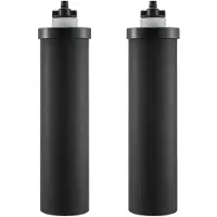 OEM Filtres à Eau de Rechange Lot de 2