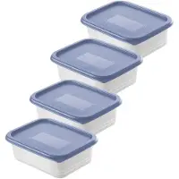 Rotho Gefrierdosen Set