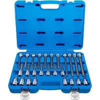 Bgs 5180 Assortiment de douilles à embout 12,5 (1/2), denture intérieure, 26 pièces