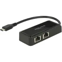 DeLOCK Carte réseau USB3.1 type-C - 2x RJ45, 27cm (USB 3.1 Gen 1, USB-C, RJ45 Gigabit Ethernet (2x)), Adaptateur réseau, Noir