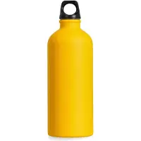 Salewa Bouteille Isarco Lightweight 600ml