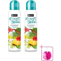 Sence 2 déodorants , senteur Tropical Joy & Coconut, 150 ml, lot de 2