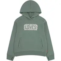 Levi's Kids Sweat-shirt 'LVG MEET AND GREET SEASONAL HOODIE FELPA' vert clair