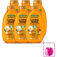 Garnier 6 bouteilles de shampooing Loving Blends, à l'huile d'argan et au camélia, pour cheveux secs et ternes, 300 ml. Pack économique - 6 pièces