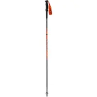 Dynafit Bâtons Alpine