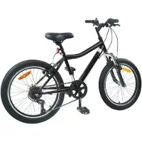 vidaXL vélo pour enfants , 20 pouces, 6 vitesses, pour les enfants de 6 à 11 ans