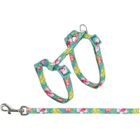 Trixie Colliers pour chat avec laisse, pour chat, motifs floraux, 27–45 cm/10 mm, 1,20 m, différentes (Chat)