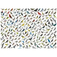 Eurographics Puzzle Le Monde des Oiseaux - 1000 pièces
