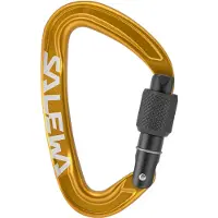 Salewa Mousqueton Ortles Screw