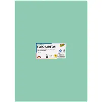 Folia Carton photo, (l)500 x (h)700 mm, 300 g/qm, menthe (300 g/m²)