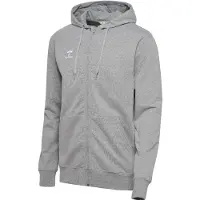 Hummel Veste de survêtement 'GO 2.0' pierre