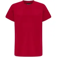 Hummel T-Shirt fonctionnel rouge rubis