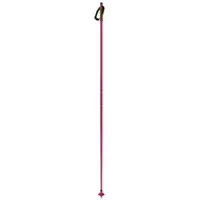 Fischer Storm Gtx S Poles Clair 170 cm