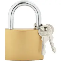 vidaXL U Lock avec Clés 6 pcs Laiton Fer