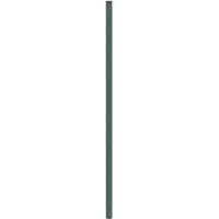 vidaXL Membrane anti-mauvaises herbes vert 4x10 m PP