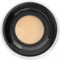 Danessa Myricks Beauty Evolution Powder poudre libre teinte 2 - Translucent Beige 11 g