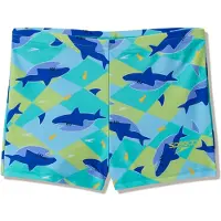Speedo Short De Bain Print Aqua