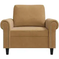 vidaXL Fauteuil marron 60 cm velours