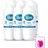 Odorex 6 déodorants roll-on Marine Frais - Sans alcool - 50 ml - Lot économique - 6 pièces