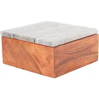 PT Living Acacia (7.94 l, 15 x 15 x 7.50 cm)