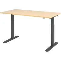 Hjh OFFICE PRO Bureau réglable en hauteur XMKA | 2 moteurs | 120-180 cm | électrique | érable, Couleur du piètement:graphite, Dimension du plateau:160 x 80 cm