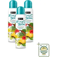 Sence 3 déodorants Tropical Joy & Coconut - 150 ml - Lot de 3