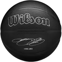 Wilson Ballon de basket - Unisexe - Noir - NBA Player Evergreen Bskt Lebron WZ4026801XB