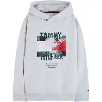 Tommy Hilfiger Sweat à Capuche - Grey Heather - - 3 ans (98) - Sweat à Capuche