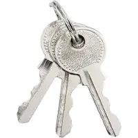vidaXL Cadenas en U avec clés 12 pièces Laiton Fer