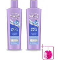 Unilever 2 flacons de shampooing Andrélon Anti-pellicules - 250 ml - Pack économique - 2 pièces