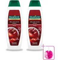 Palmolive 2 flacons de shampooing Naturals Brilliant Color, pour cheveux colorés, 350 ml - Pack économique - 2 pièces