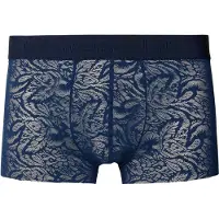 Hom Boxer court