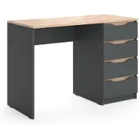 Vicco Bureau Ruben Anthracite/Chêne Artisan 110x50cm avec 4 tiroirs, Model 62899