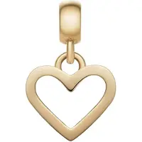 Daniel Wellington Cur en acier plaqué or Charms DW00400433