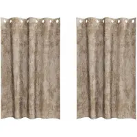 vidaXL Rideaux en velours 2 pcs Champagne 175 x 140 cm Velours