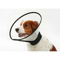 Kruuse Collier De Chien Complete 15 Cm Elizabethan 5 Unités