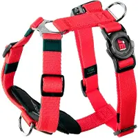 My Family Harnais Pour Chien Memopet H Adjustable