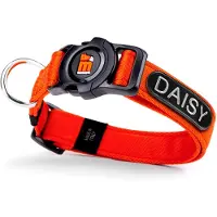My Family Collier De Chien Memopet Id