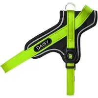 My Family Harnais Pour Chien Memopet Id Personalizable Y