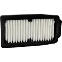 Champion Parts Filtre à Air Caf2202