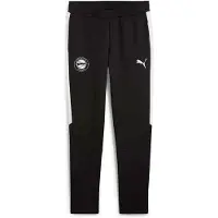 Puma Pantalon De Survêtement Deportivo Alavés Teamevostripe