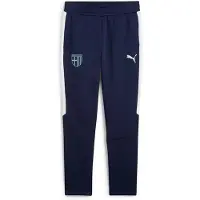 Puma Pantalon De Survêtement Parma Calcio 1913 Teamevostripe